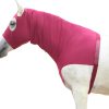 LEAFOREST Equestrian Protective Gear Hood-0