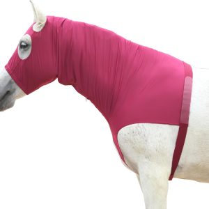 LEAFOREST Equestrian Protective Gear Hood-0