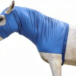 LEAFOREST Equestrian Protective Gear Hood-0
