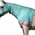 Equestrian Hood LEAFOREST Stretch Spandex-0