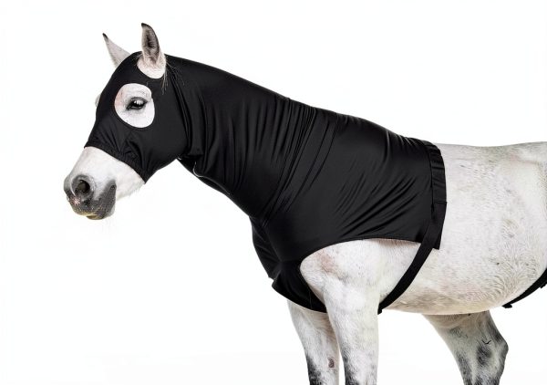 Equestrian Protective Hood LEAFOREST Stretch Fabric-3