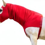 Equestrian Hood LEAFOREST Four Way Stretch-0