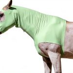 LEAFOREST Equestrian Protective Gear Hood-0