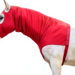 Equestrian Hood LEAFOREST Stretch Spandex-0