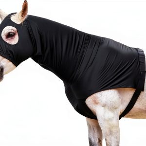 Equestrian Protective Hood LEAFOREST Stretch Fabric-0