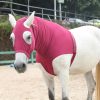 LEAFOREST Equestrian Protective Gear Hood-4