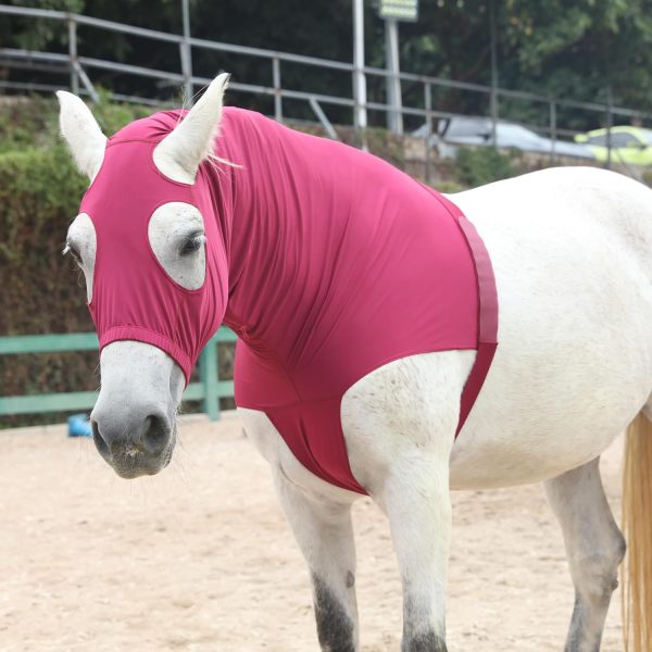 LEAFOREST Equestrian Protective Gear Hood-4