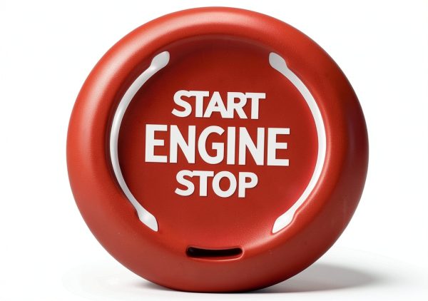 ruihe Automotive Pushbutton Switch-8